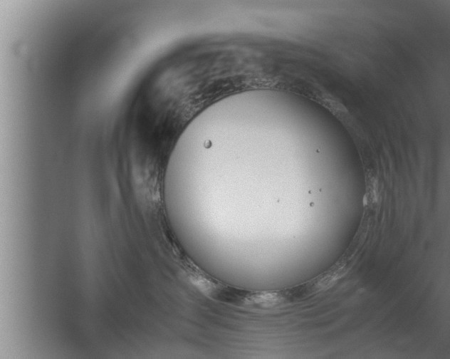 X0000059850431200510281856