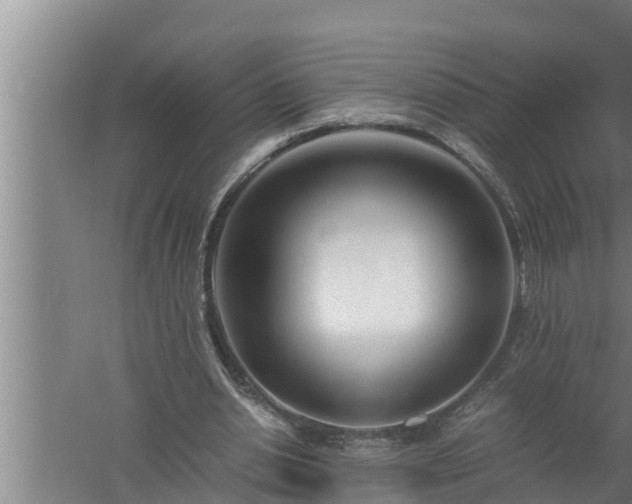 X0000059850438200510281855