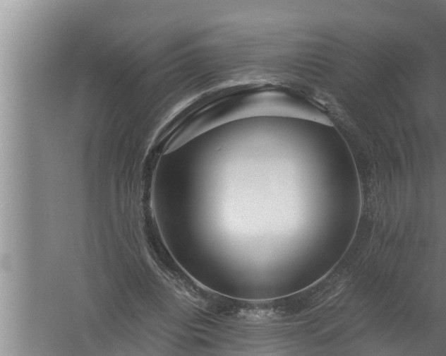 X0000059850440200510281855