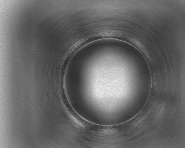 X0000059850445200510281856