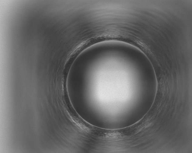 X0000059850446200510281856