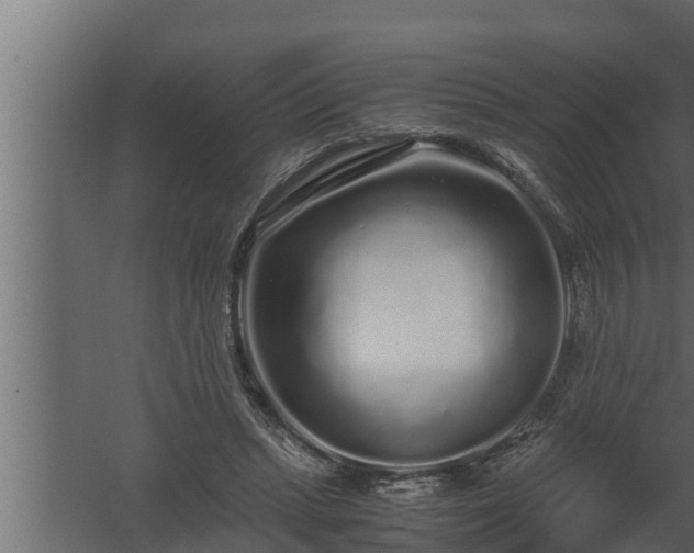 X0000059850447200510281856