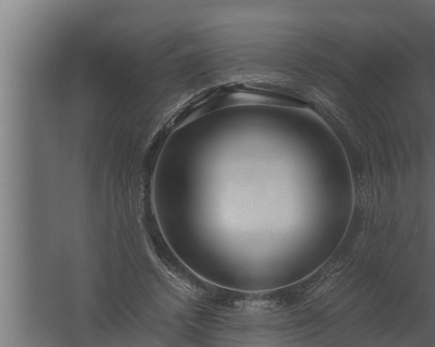 X0000059850448200510281856