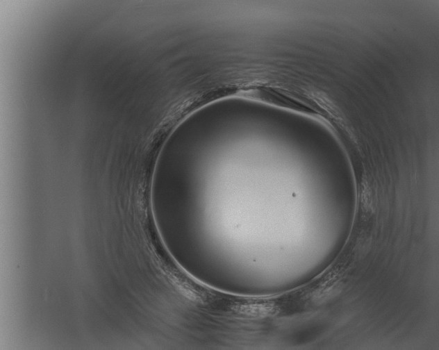 X0000059850449200510281856