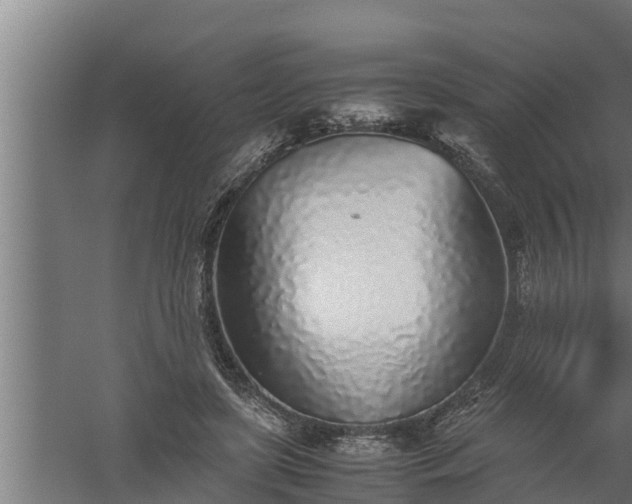 X0000059850451200510281856