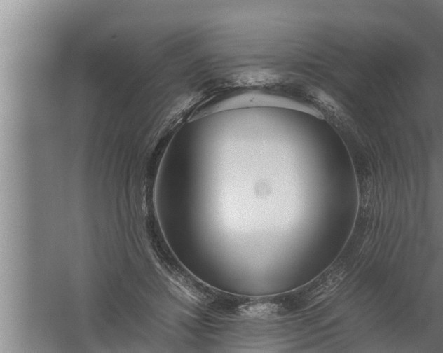 X0000059850452200510281856