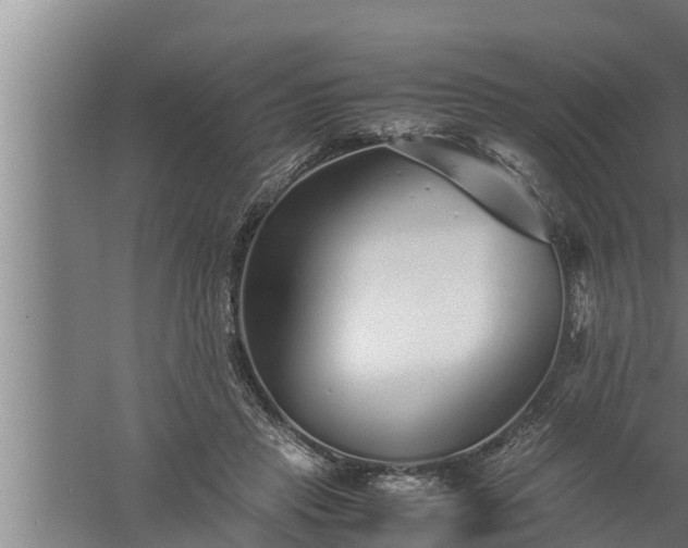 X0000059850453200510281856