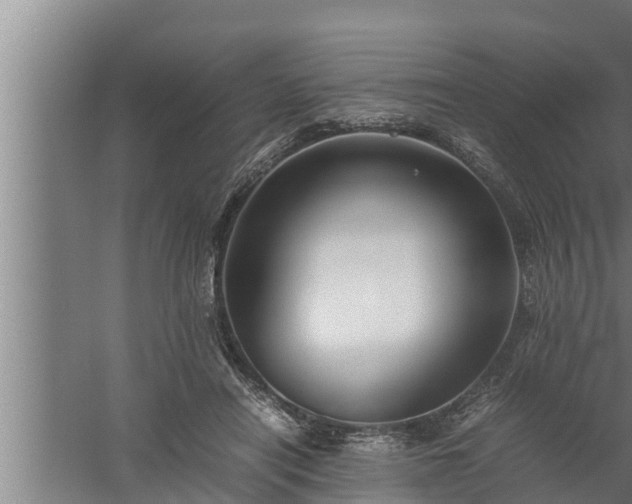 X0000059850454200510281856