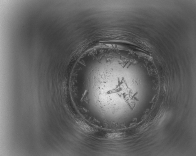 X0000059850461200510281856