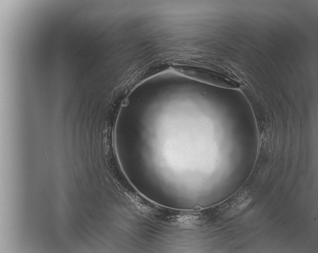 X0000059850462200510281856