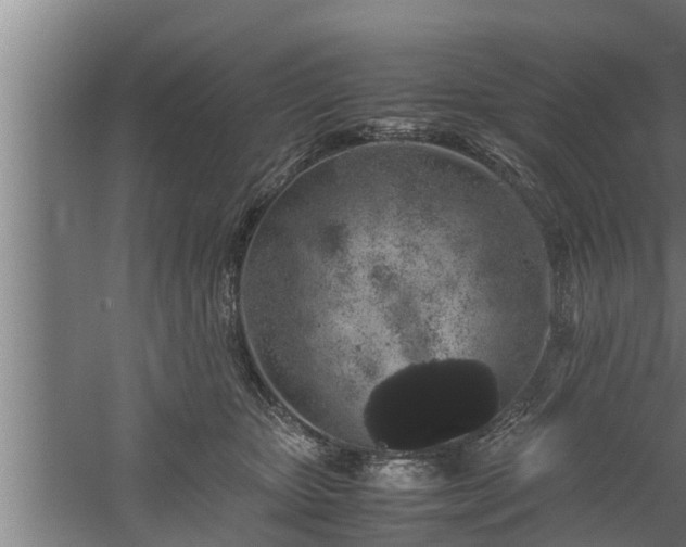 X0000059850467200510281856