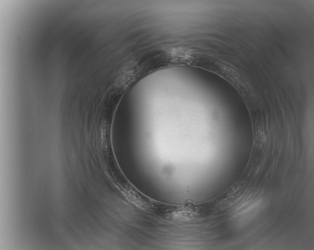 X0000059850468200510281856