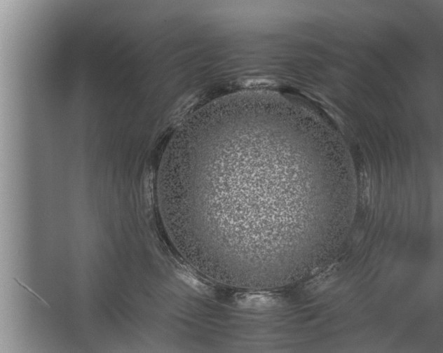 X0000059850475200510281856