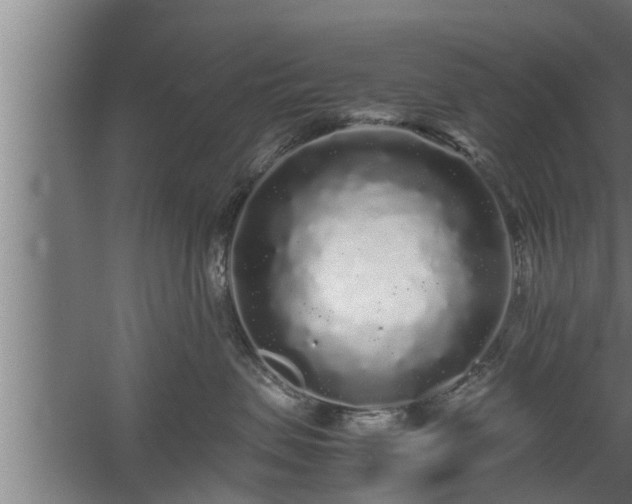 X0000059850479200510281856