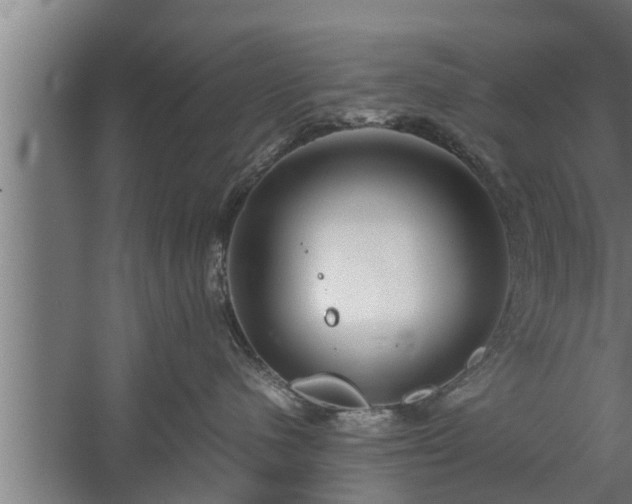 X0000059850480200510281856