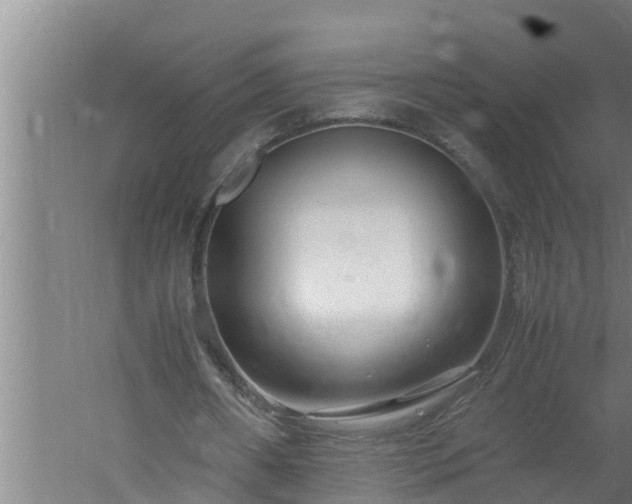 X0000059850482200510281855