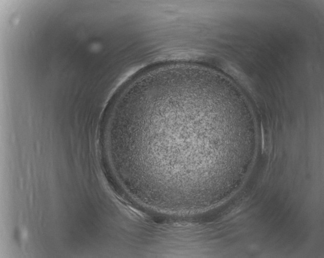 X0000059850483200510281855