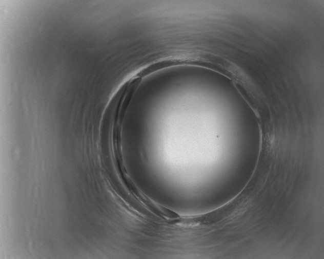 X0000059850484200510281855