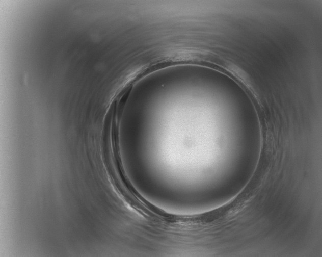 X0000059850485200510281855