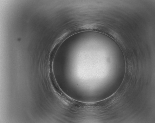 X0000059850486200510281855