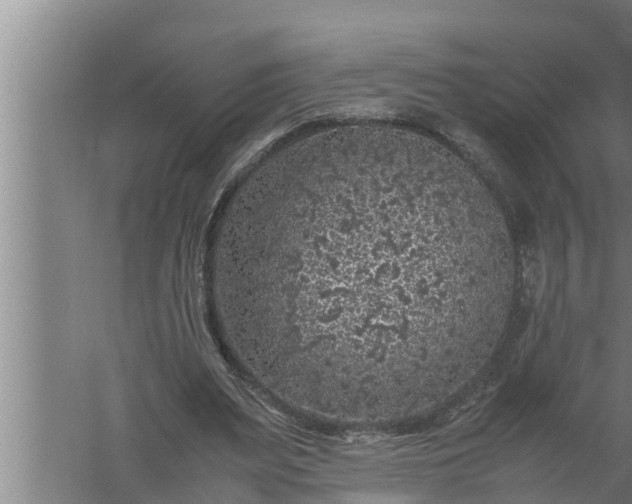 X0000059850487200510281855