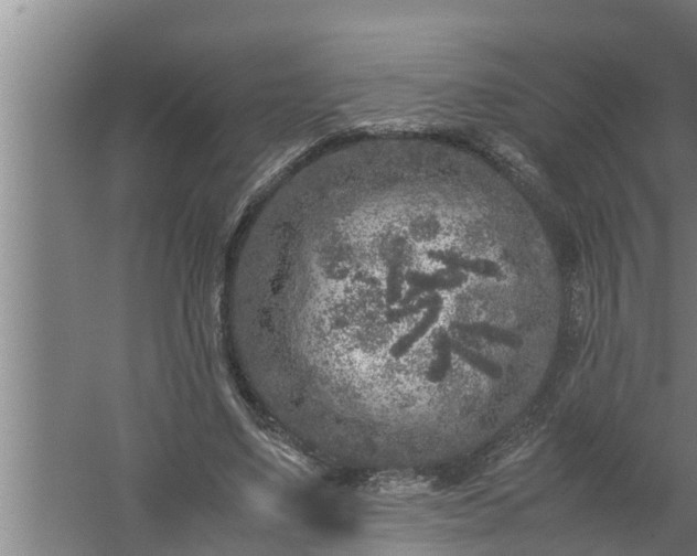 X0000059850491200510281855