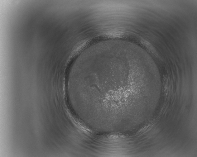 X0000059850494200510281855