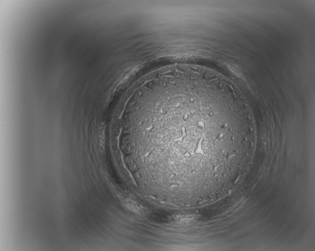 X0000059850495200510281855