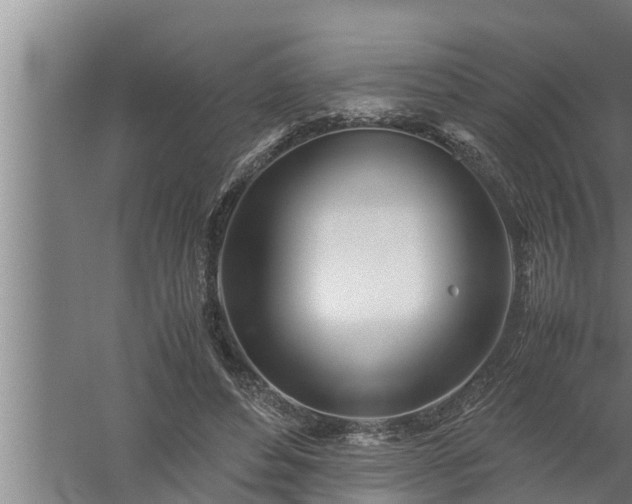 X0000059850496200510281855