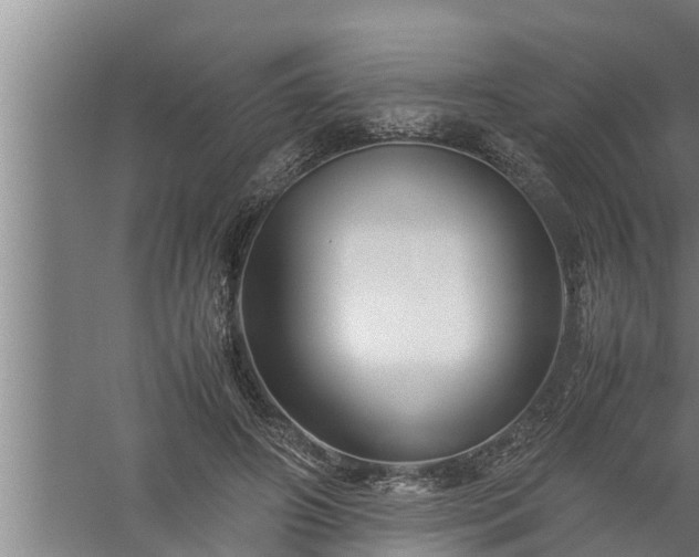 X0000059850498200510281855