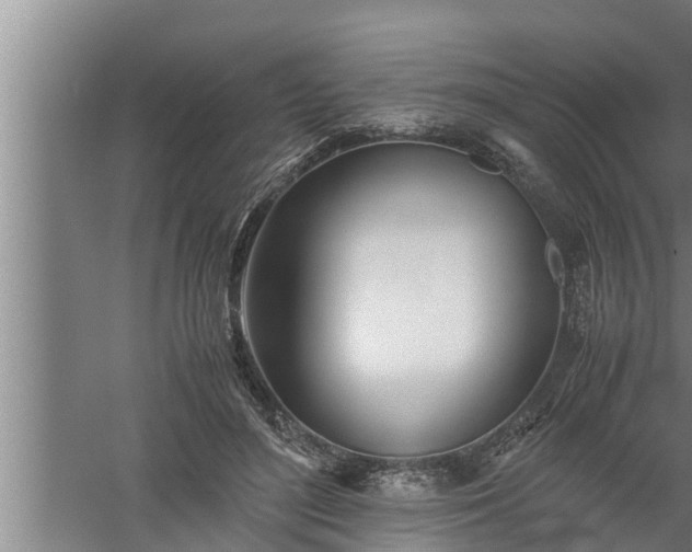 X0000059850500200510281855