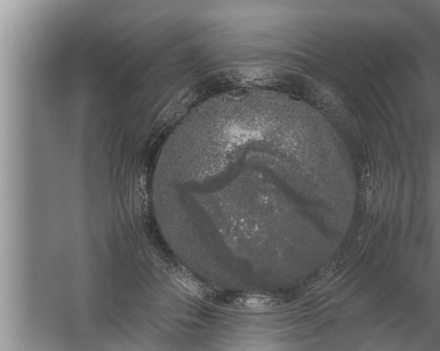 X0000059850506200510281855