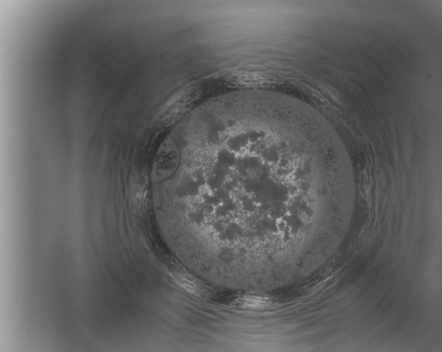 X0000059850507200510281855