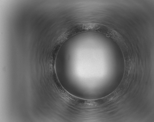 X0000059850510200510281855