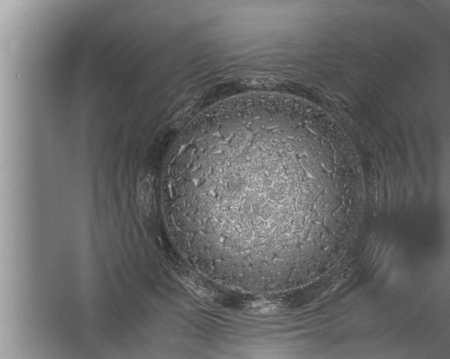 X0000059850511200510281855