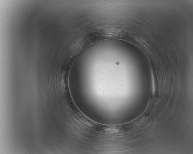 X0000059850516200510281855