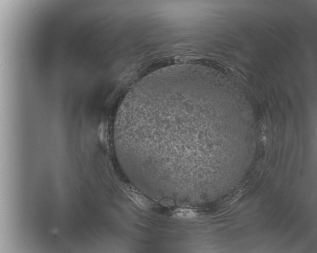 X0000059850519200510281855