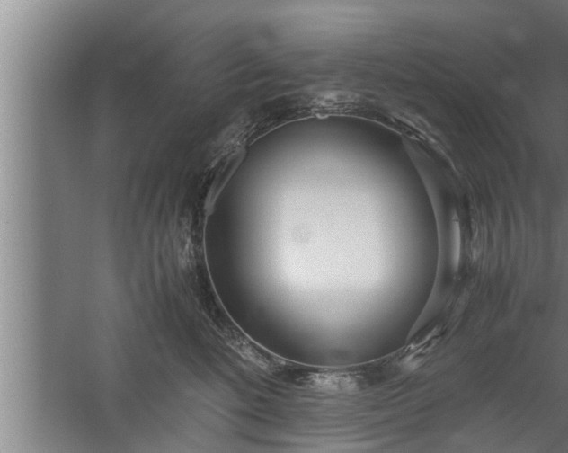 X0000059850520200510281855