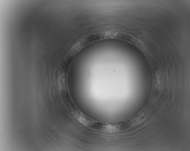 X0000059850522200510281855