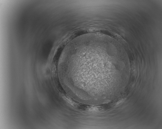 X0000059850523200510281855