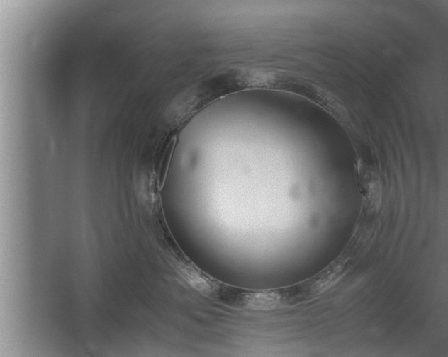 X0000059850525200510281855