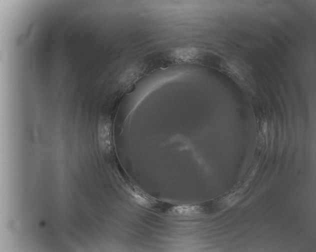 X0000059850526200510281855