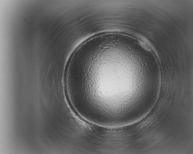 X0000059850951200510281848