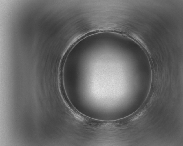 X0000059851093200510281845