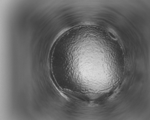 X0000059851141200510281844