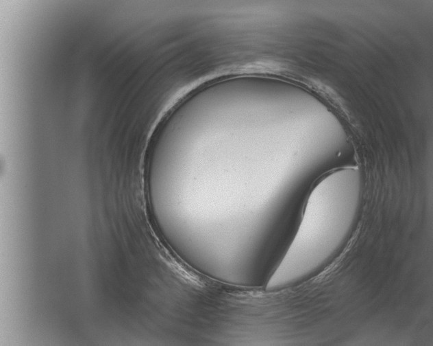 X0000059851184200510281843