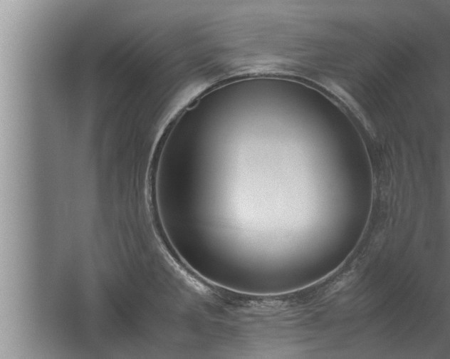 X0000059851285200510281842