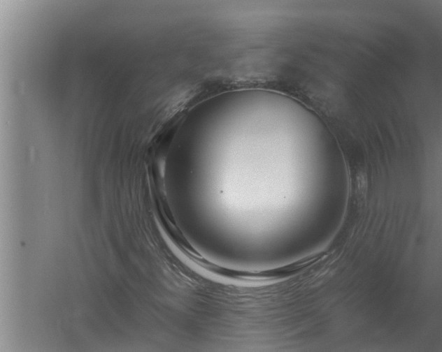 X0000059851300200510281841