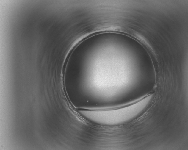X0000059851332200510281841