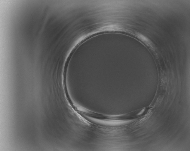 X0000059851334200510281841